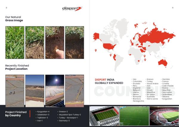 HYBIRD TURF & ACCESSORIES- AUTHORISED EXPORTER OF PRODUCT 